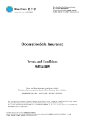 DecorationSafe TnC 122014.pdf