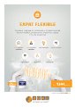 BDAE Group - Group Health - Expat Flexible - Brochure.pdf